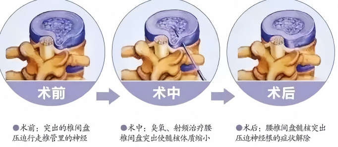 67edfacf5c37a.png 图片3(1).png