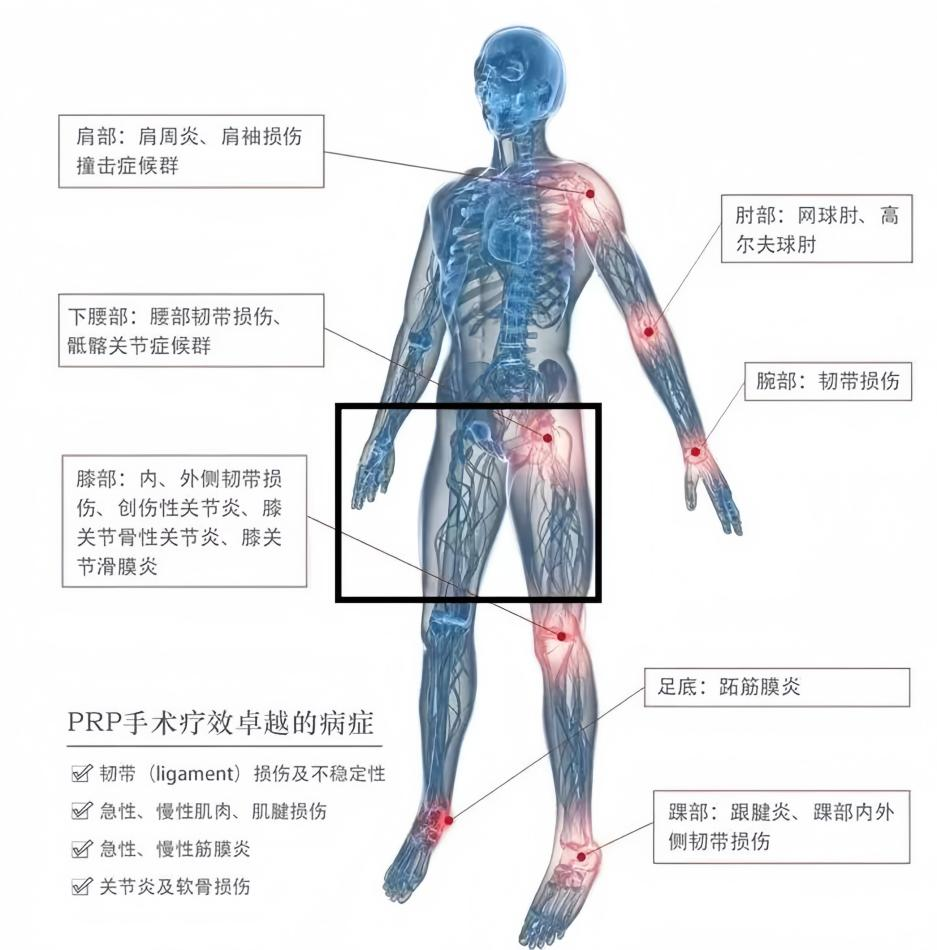 67ee001984899.png 67ee001984899.png