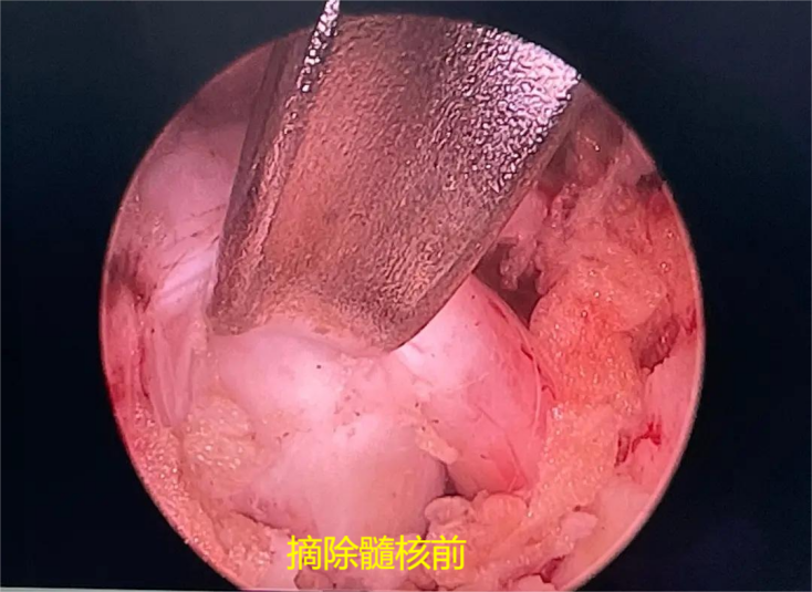 67ee02c7aa052.png 图片16.png