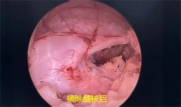 67ee02d56b238.png 图片17.png