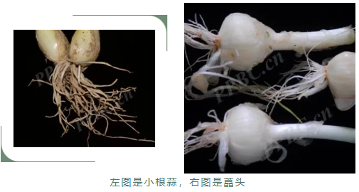 6852a99093274.png image.png