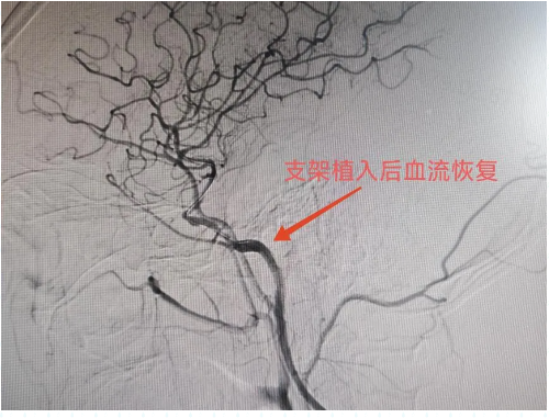 6852aa2e43917.png image.png