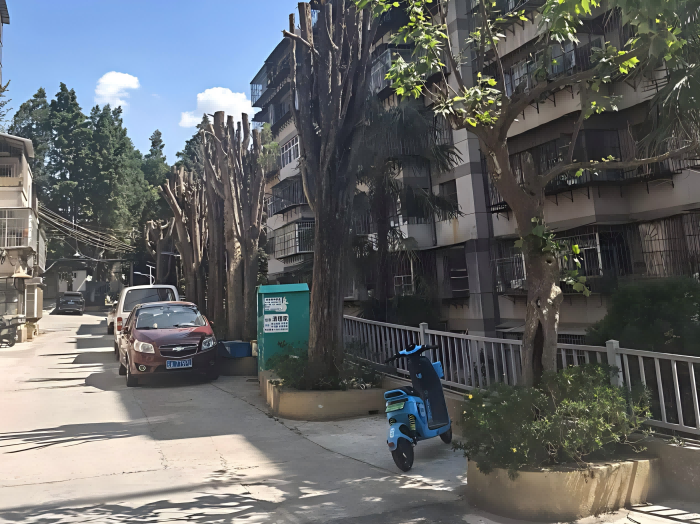 69e181da6c74b.png 图片 1(1).png